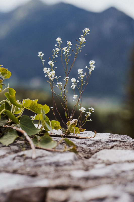 Das Allgäu, natürliche Schönheit und perfekter Ort zu heiraten.